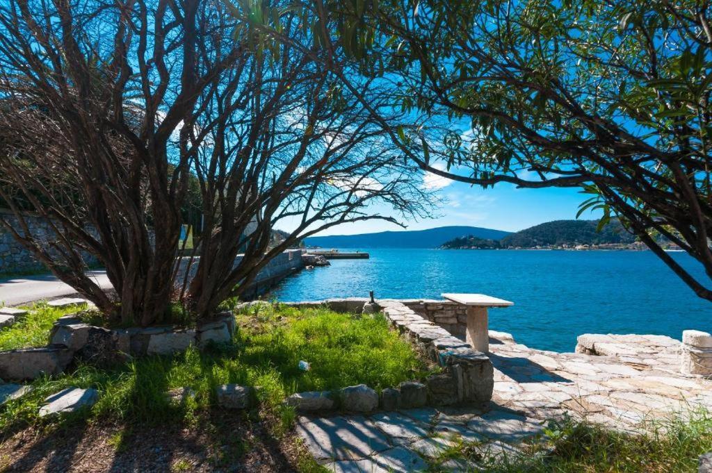 Apartmani Vesna Teodo Esterno foto
