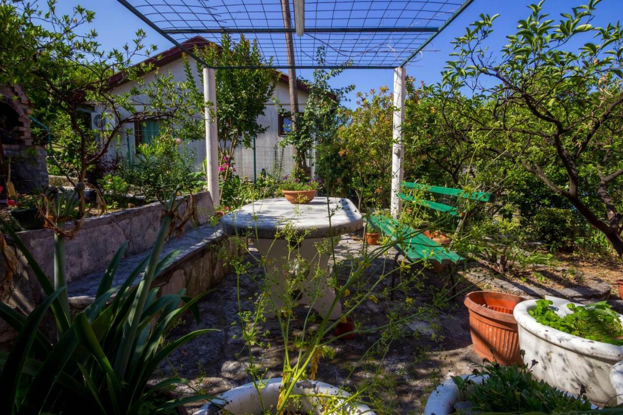 Apartmani Vesna Teodo Esterno foto